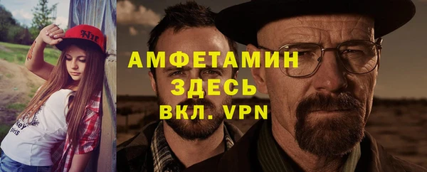 шишки Алексин