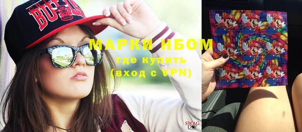 шишки Алексин
