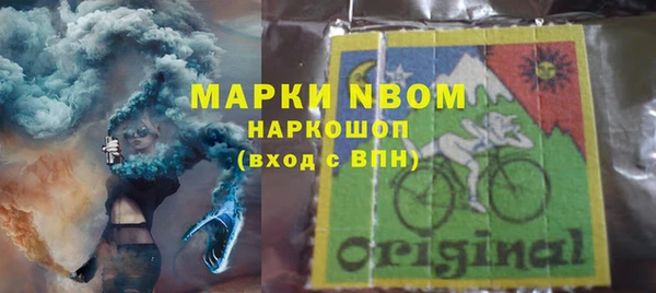 шишки Алексин