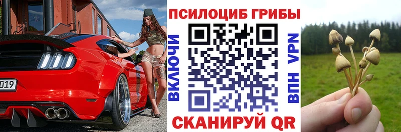 цена наркотик  Чебоксары  Псилоцибиновые грибы ЛСД 