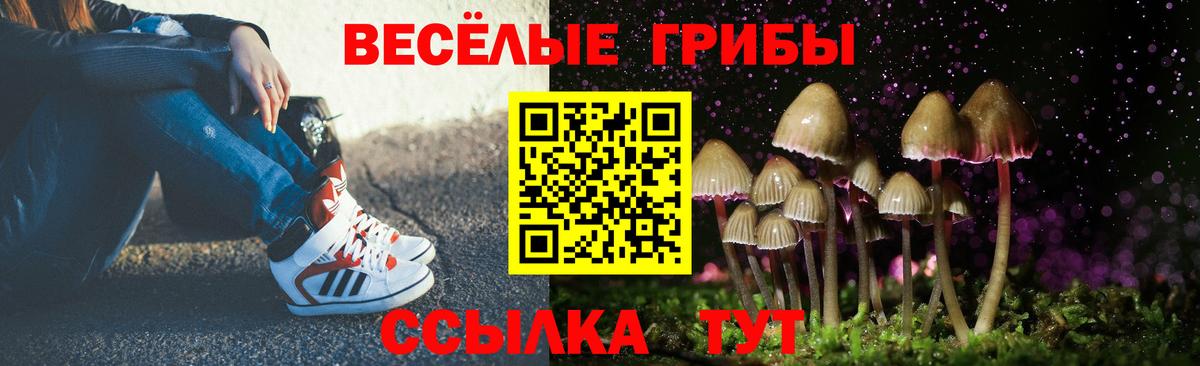 Галлюциногенные грибы ЛСД Чебоксары